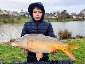 Mirror Carp