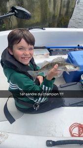 Zander
