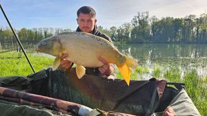 Mirror Carp