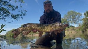 Northern Pike