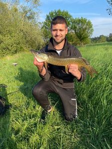 Northern Pike
