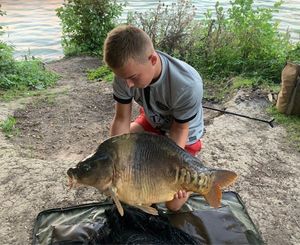 Mirror Carp