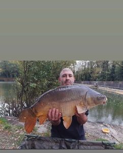 Mirror Carp