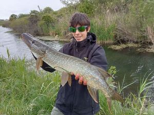 Northern Pike