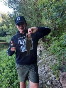 Largemouth Bass