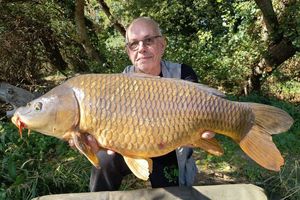 Common Carp