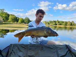 Mirror Carp