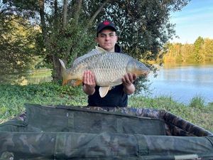 Common Carp