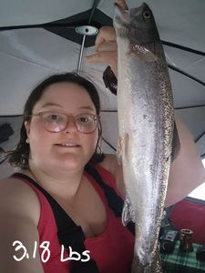 Rainbow Trout