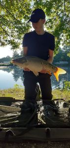 Mirror Carp