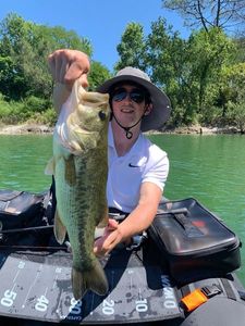 Largemouth Bass