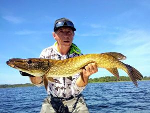 Northern Pike