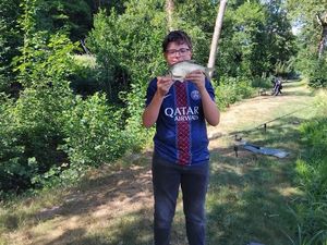 Crucian Carp