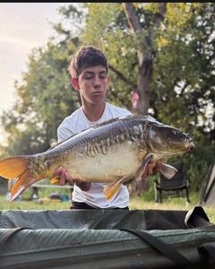 Leather Carp