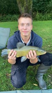 Tench
