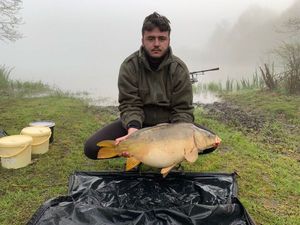 Mirror Carp