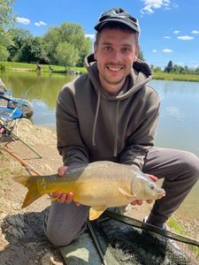 Mirror Carp