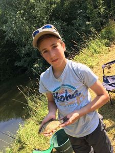 Common Carp