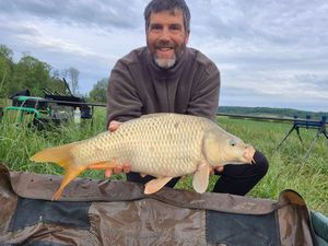 Common Carp