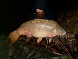 Mirror Carp