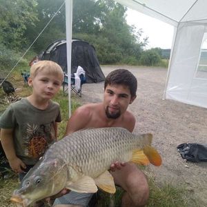 Common Carp