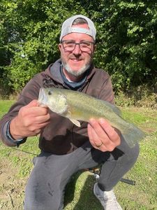 Largemouth Bass