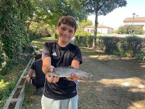 Rainbow Trout