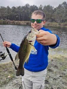 Largemouth Bass