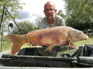 Mirror Carp