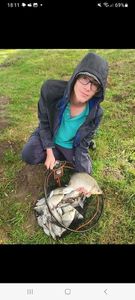 Crucian Carp