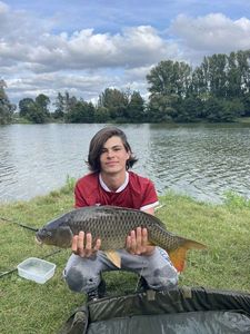 Common Carp