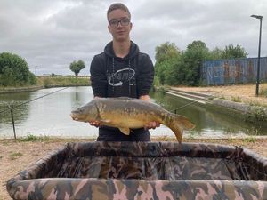 Common Carp