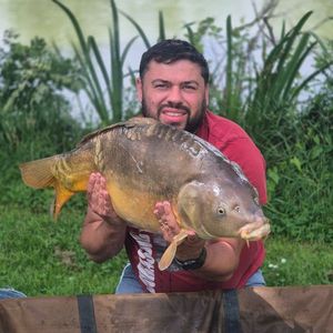 Mirror Carp