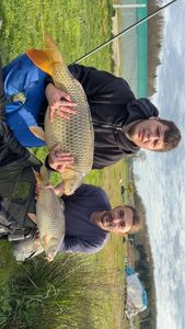 Crucian Carp
