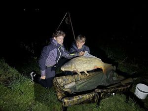 Common Carp