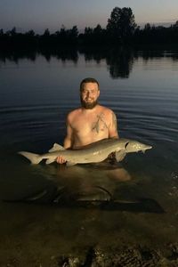 Sturgeon