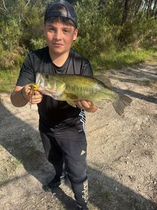 Largemouth Bass