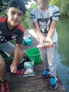 European Perch