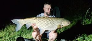 Grass Carp