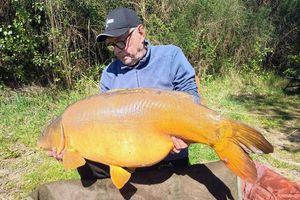 Mirror Carp