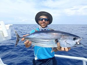 Skipjack Tuna