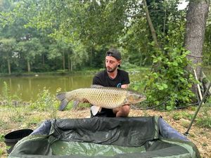 Grass Carp