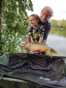 Mirror Carp