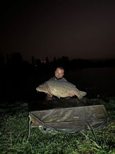 Mirror Carp