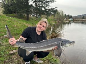 Sturgeon