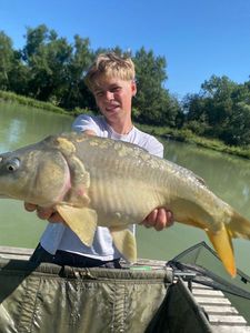 Mirror Carp