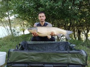 Grass Carp