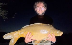Mirror Carp