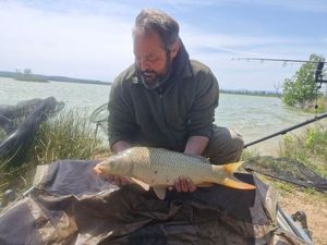 Common Carp