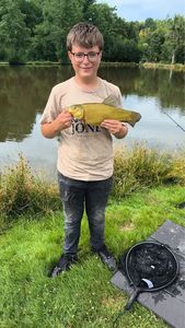 Tench